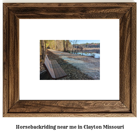 horseback riding near me in Clayton, Missouri